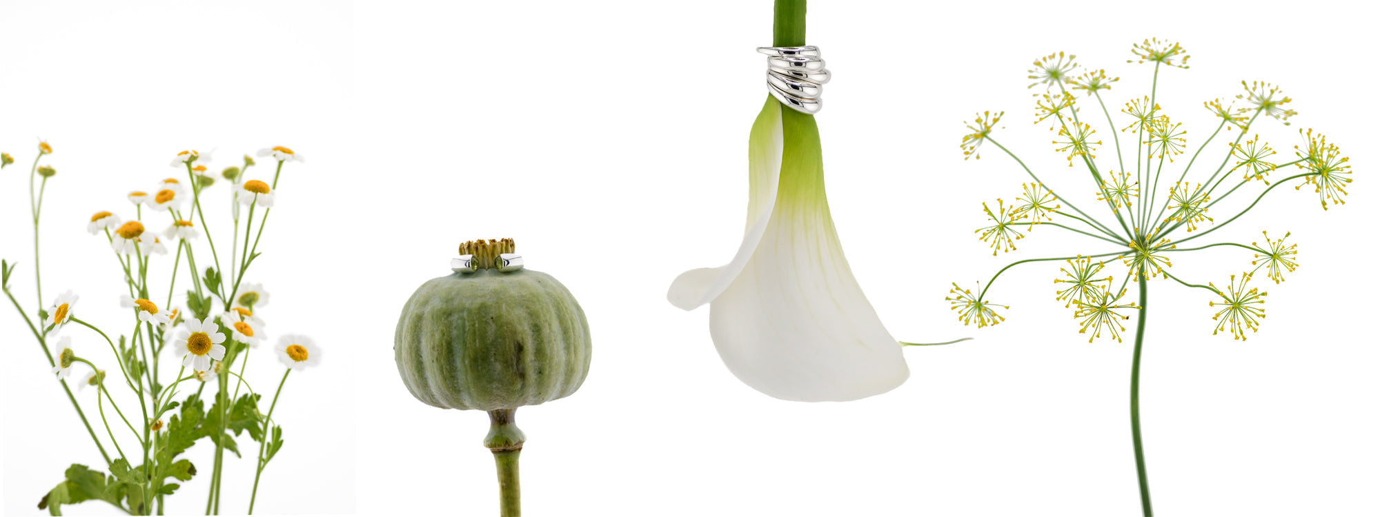 What Is Ethical Jewelry? A Complete Guide to Conscious Shopping